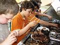 Kids_Reste