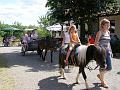 Ponyreiten