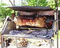 Schwein_Knusprig