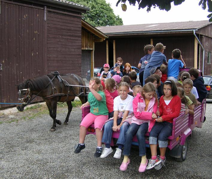 Pferd_mobil.JPG - Rasante Fahrten mit dem Bürgermeister-Mobil, das Pferd wird dagegen schon langsam müde.