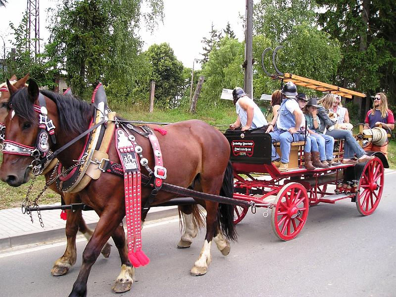 Gespann.JPG - Blickfang: das Gespann aus Svržno (Zwirschen) führt den Festzug an.