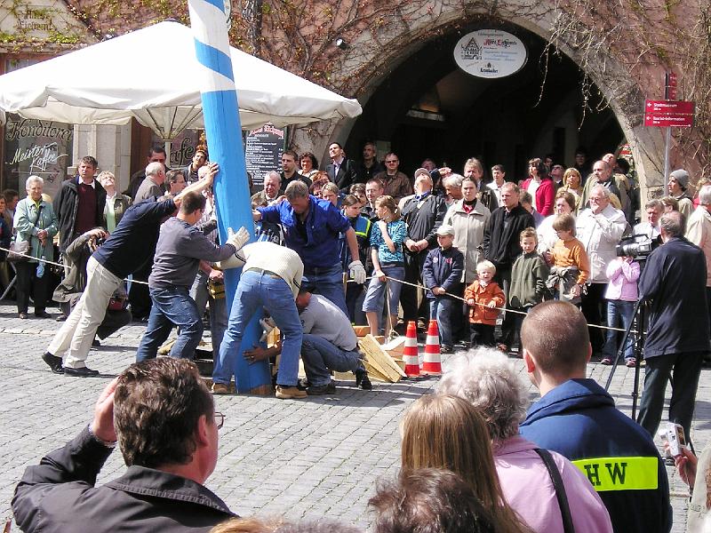 Verankern.JPG - Die Helfer legen letzte Hand am Maibaum, gleich wird er verkeilt.