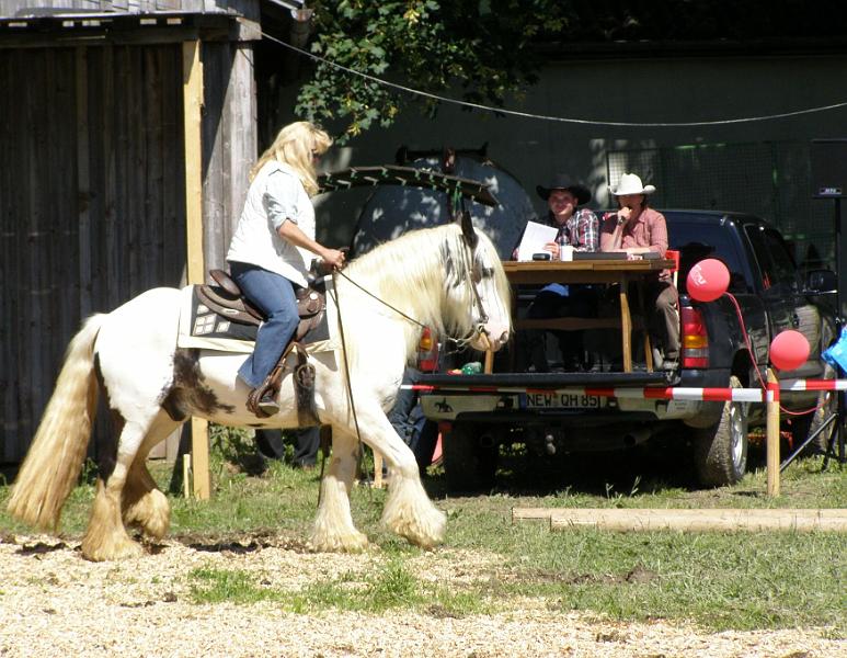 whf_7.JPG - Hier passt alles zusammen, das Pferd und die Reiterin bewältigten alle Prüfungen.
