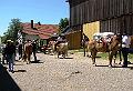 whf_2