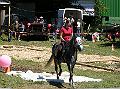 whf_4