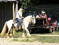 whf_7