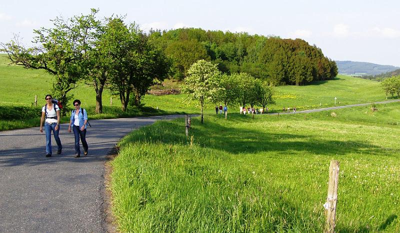 Wege_geteert.JPG - Auf einer Gemeindeverbindungsstraße führt der Weg nach Smolov (Schmolau).