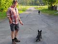 Hunde