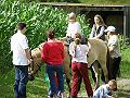 10_Jahre_Reha_14