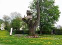 Baum_Ottenr