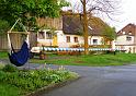 Maibaum_liegt_Bernr