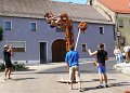 Buerger_2010_C_17
