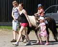 Country_2010_11