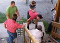 Ki_Fe_2010_13