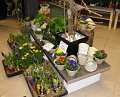Blumenladen_05
