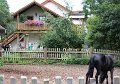 Ferien_08