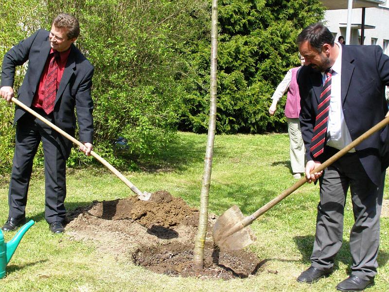 Hos_Baum_Bgm.JPG - Die Bürgermeister geben dem Hostauer Baum gute Muttererde.