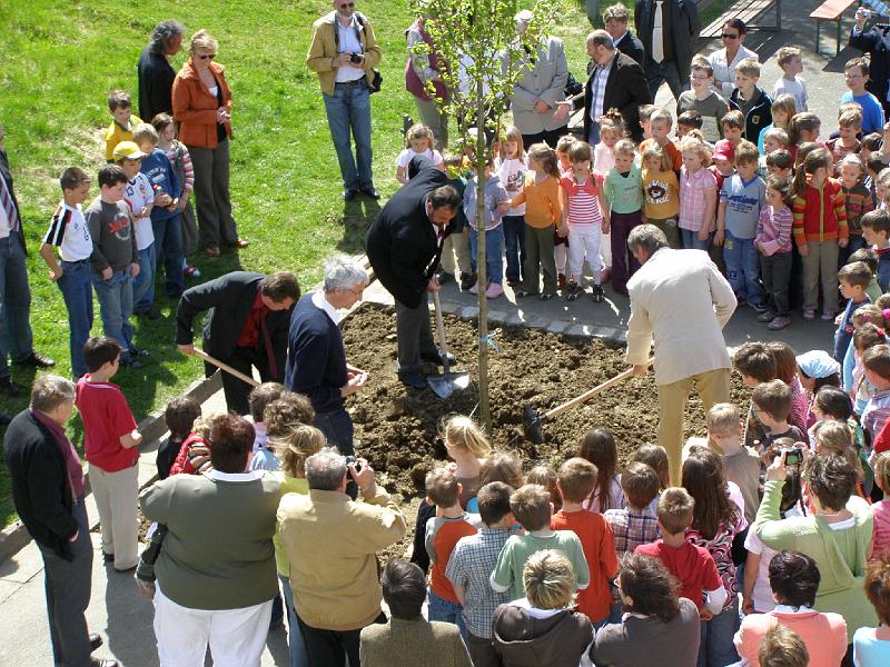 Wald_Baum_pflanzen.JPG - Die Ehrengäste greifen selbst zur Schaufel.