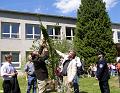 Hos_Baum_schief