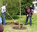 Hos_Musikschaufel_Baum