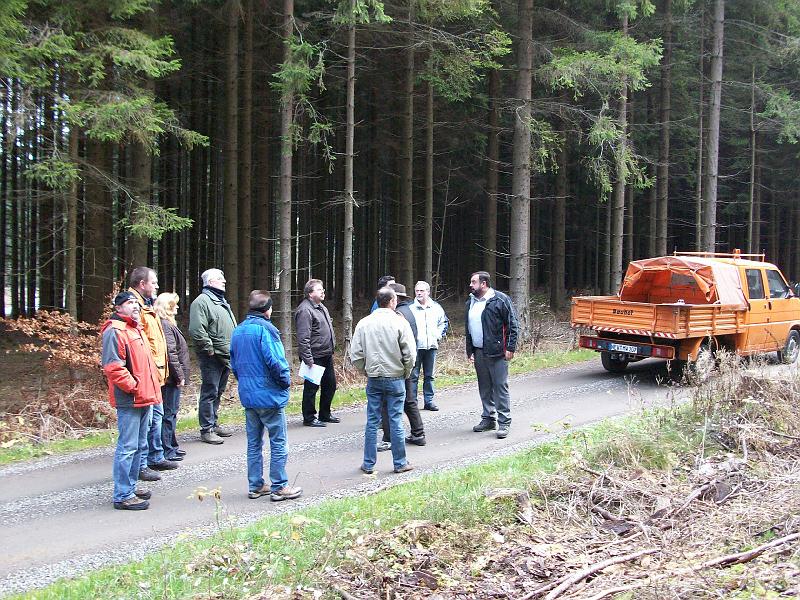 Mangelsdorf_Wald.JPG - Auftakt der Besichtigung auf dem Weg nach Mangelsdorf: Waldgrundstück in der Nähe der Straße nach Neuenhammer.