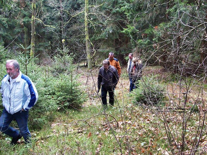 Strasshut_Wald.JPG - Gemeindlicher Waldbesitz in der Nähe der Staatsstraße Weiden-Vohenstrauß (kurz vor Abzweigung nach Zeßmannsrieth rechts).