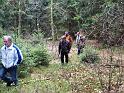Strasshut_Wald