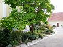 Marktgarten