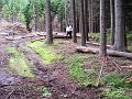 Ellertz_Weg_Bgm