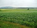 PV_Blick_trueb